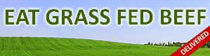US Wellness Banner