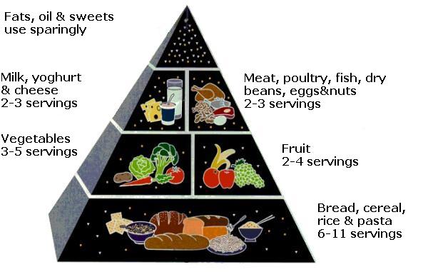 USDA Food Pyramid